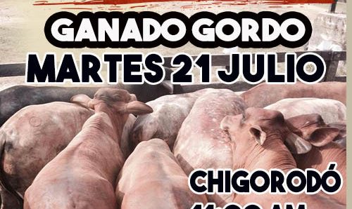 gordo 3 gordo 3