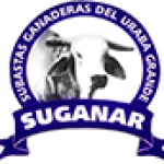 Foto del perfil de Administrador